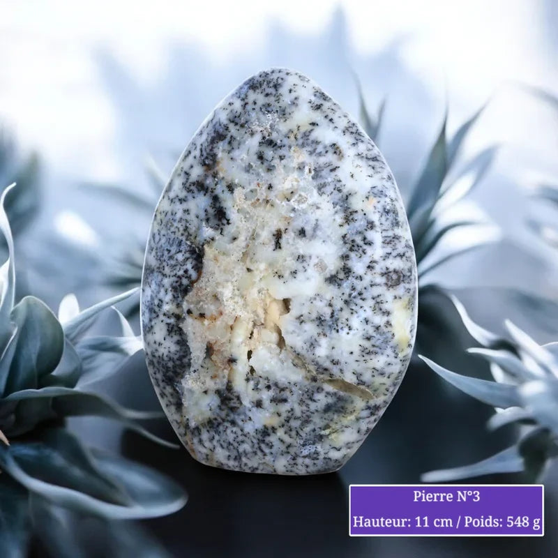 Pierre en Agate Dendritique - Forme Libre minéraux