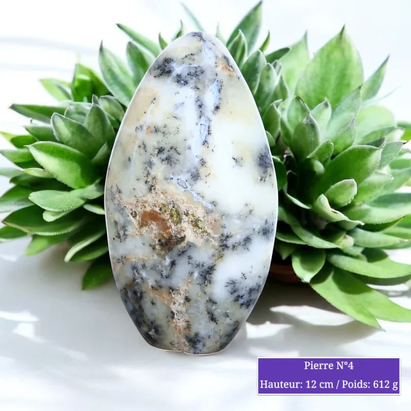 Pierre en Agate Dendritique - Forme Libre minéraux