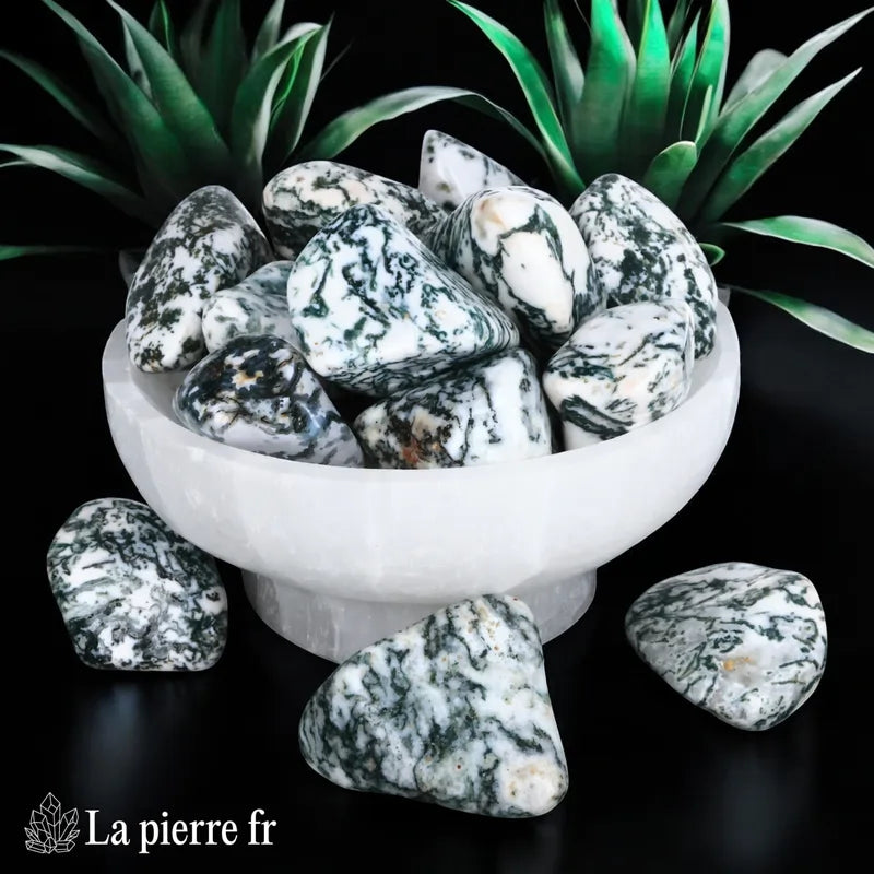 Agate Dendritique (Botswana) - Lot de 4 Pierres Roulées (2-3cm) minéraux