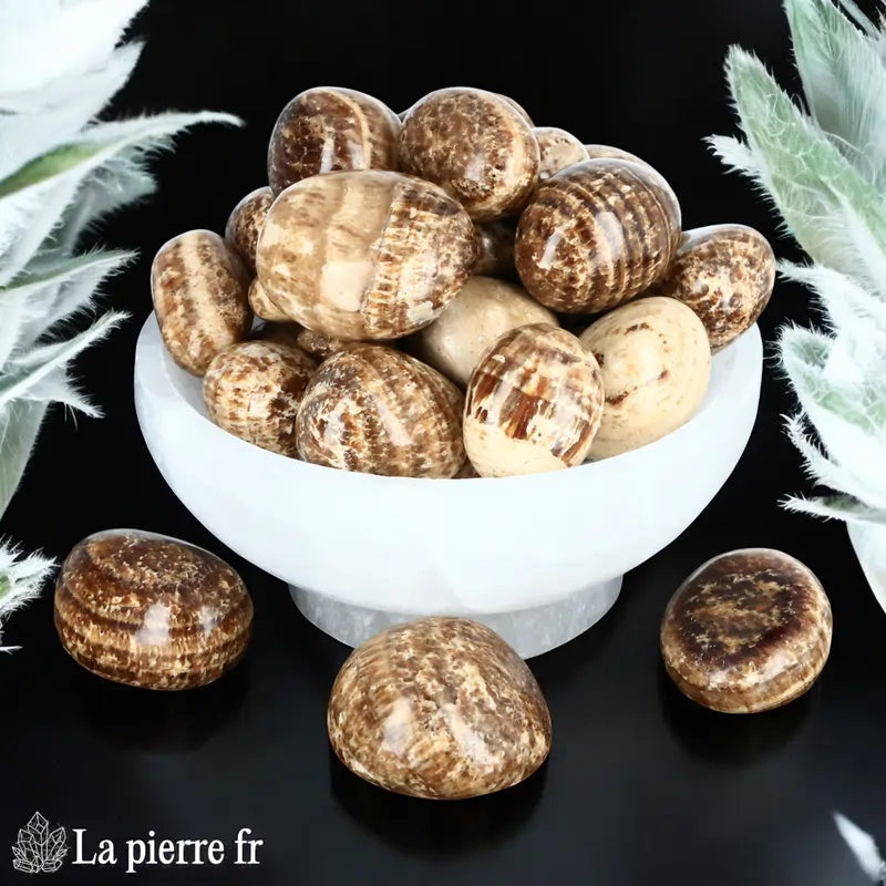 Pierre Aragonite pour lithothérapie 
