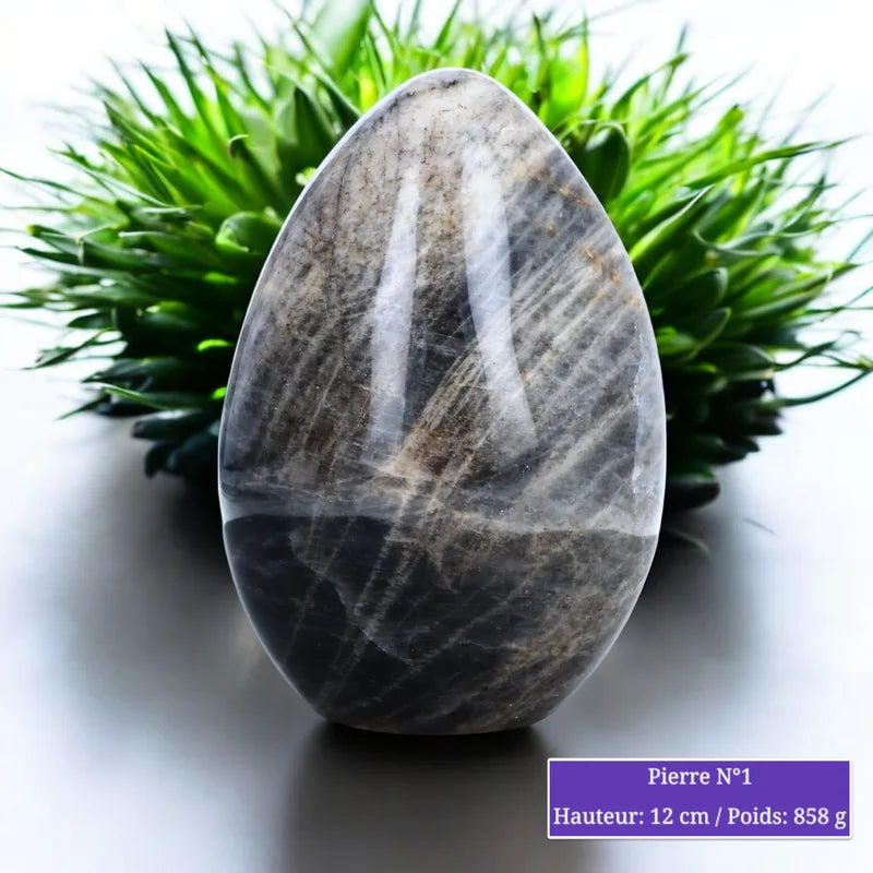 Pierre de Lune noire - Forme libre minéraux