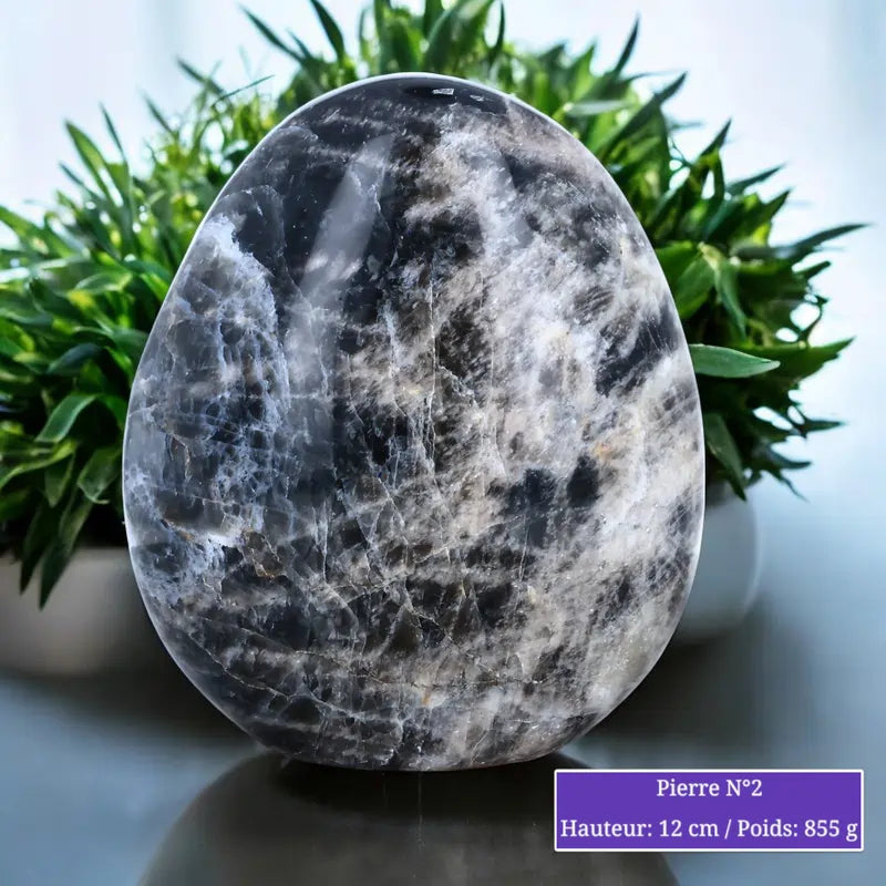 Pierre de Lune noire - Forme libre minéraux