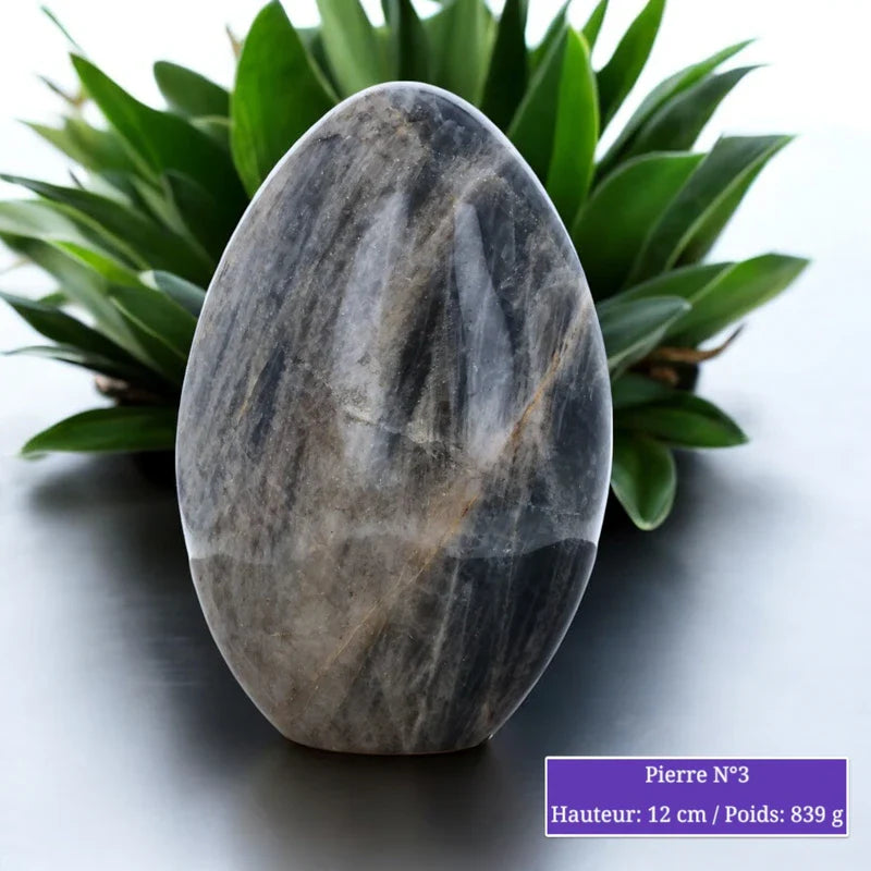 Pierre de Lune noire - Forme libre minéraux