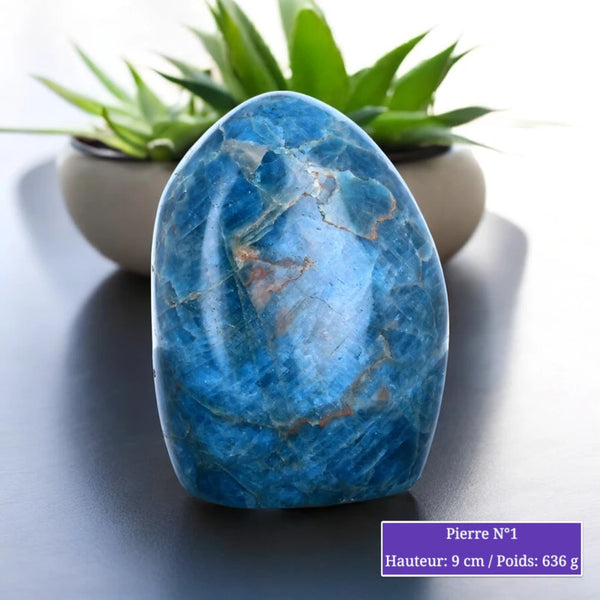 Pierre en Apatite Bleue - Forme libre