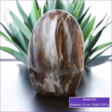 Pierre en Bois fossilisé (Pétrifié / Silicifié) minéraux