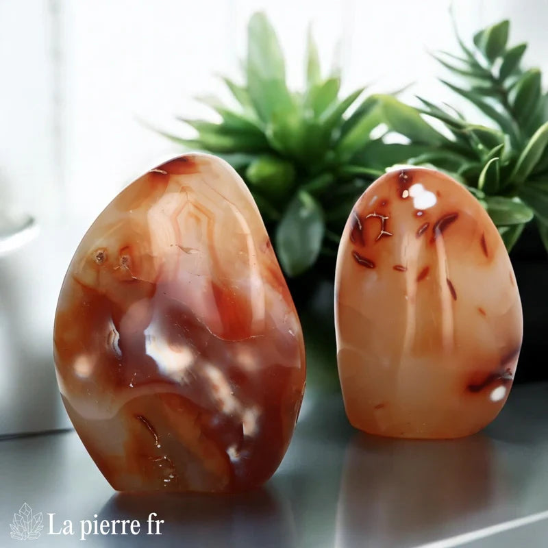 Pierre en Cornaline naturelle pour créativité et confiance, idéale pour le chakra Sacré et les signes Taureau, Cancer, Lion, Vierge.
