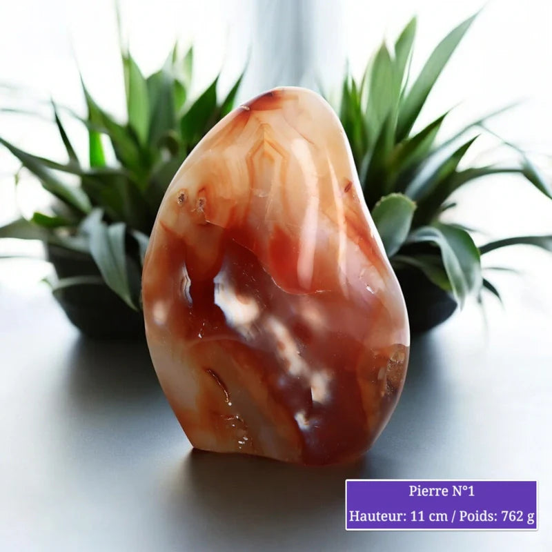 Pierre en Cornaline - Forme libre minéraux