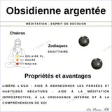 Pierre en Obsidienne Argentée - Forme Libre minéraux