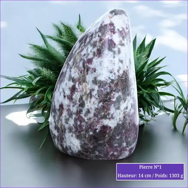 Pierre en Tourmaline Rubellite - Forme libre minéraux