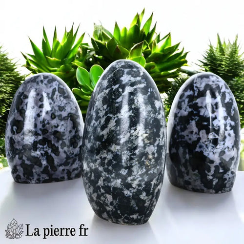 Pierre en Gabbro Merlinite - Forme libre