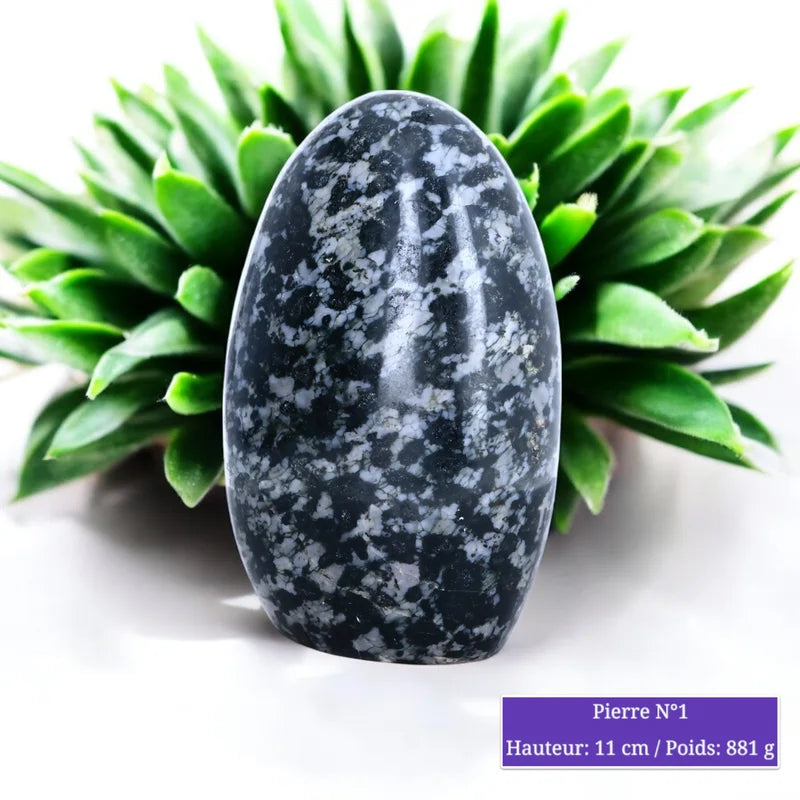 Pierre de Gabbro Merlinite à poser, pierre naturelle de forme libre polie pour lithothérapie