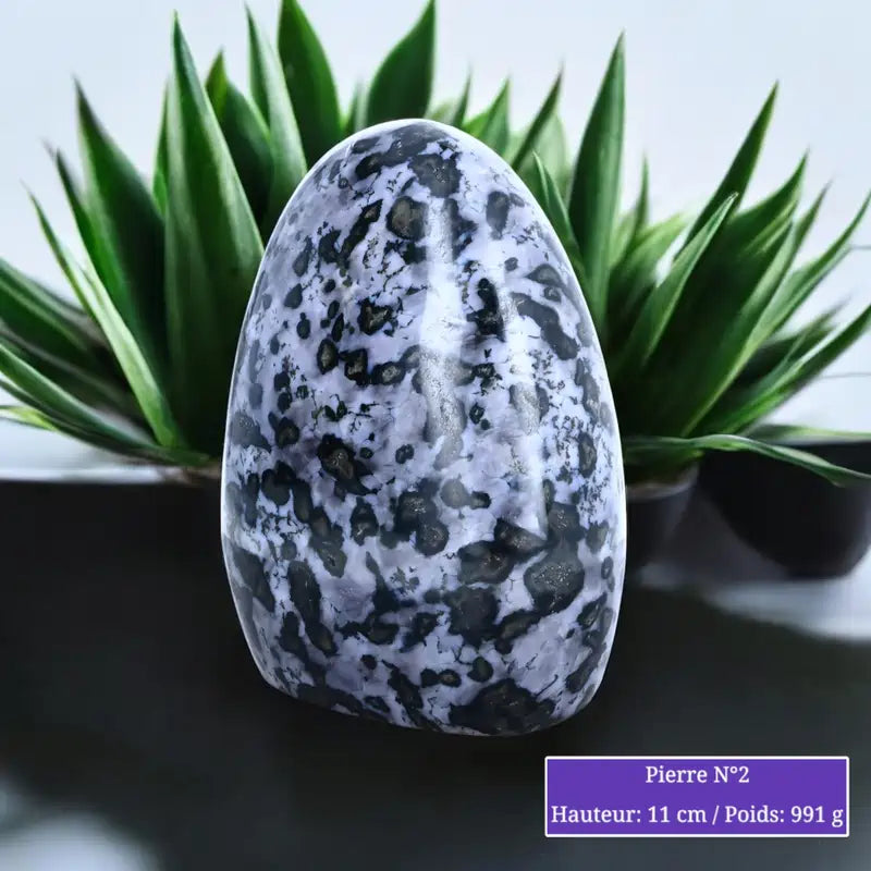Détail du Gabbro Merlinite en forme libre, pierre naturelle gris moucheté