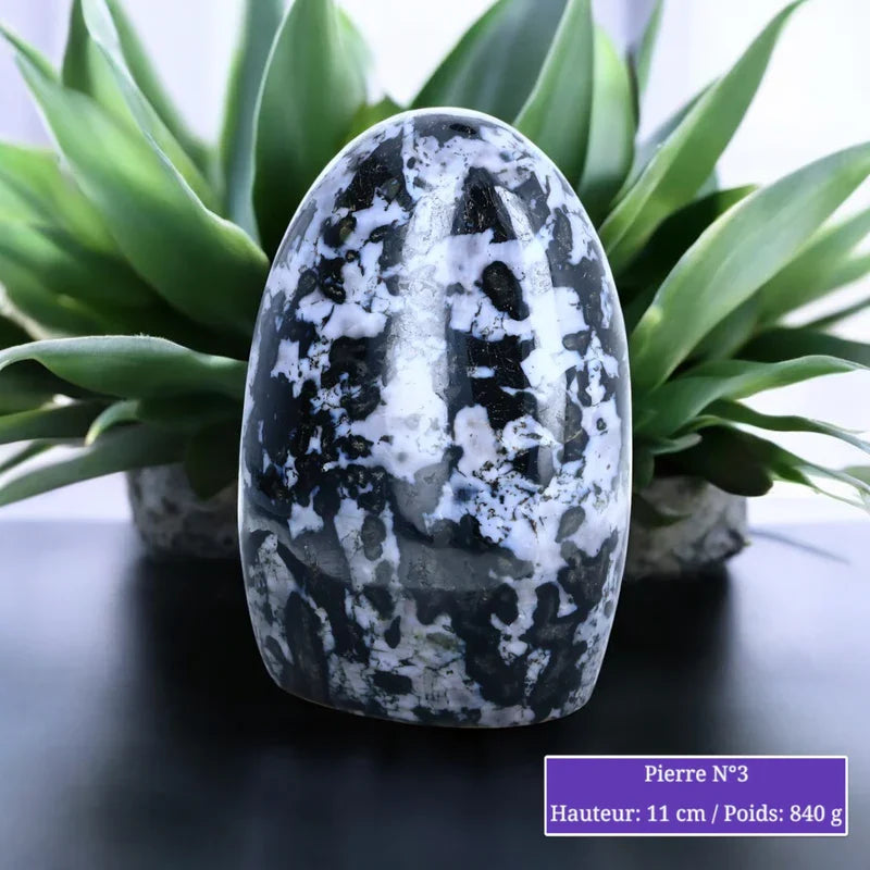 Pierre en Gabbro Merlinite - Forme libre minéraux