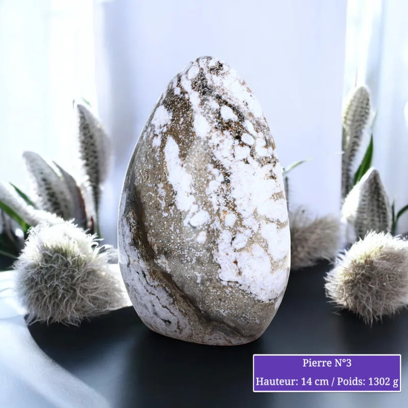 Pierre en Jaspe Orbiculaire - Forme libre minéraux