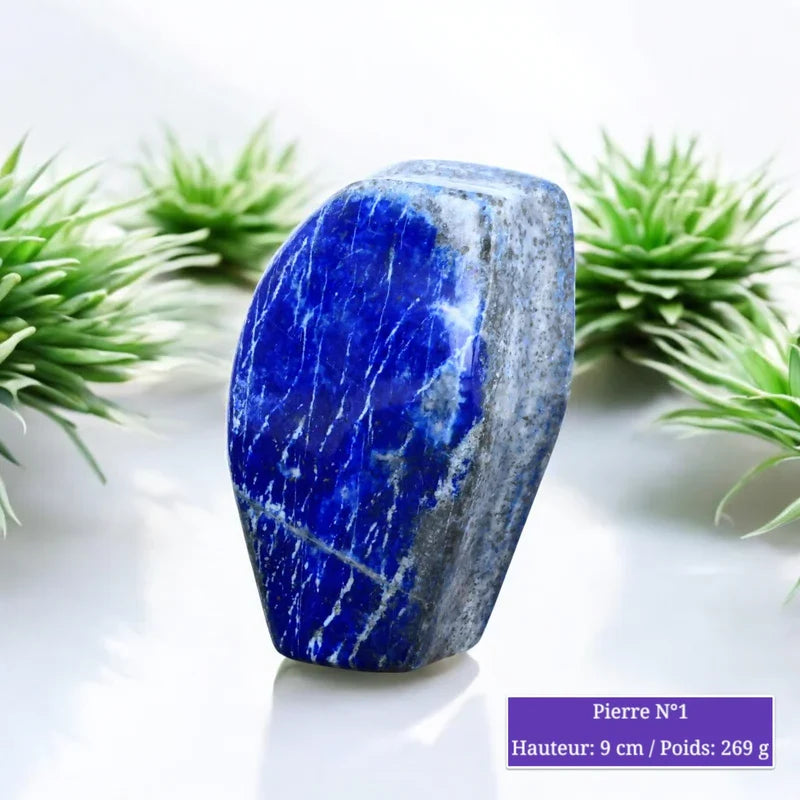 Pierre de Lapis Lazuli à poser, pierre naturelle de forme libre polie pour lithothérapie