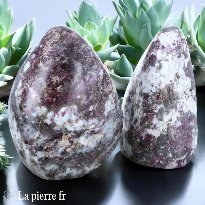 Pierre en Tourmaline Rubellite à poser de forme libre toute polie