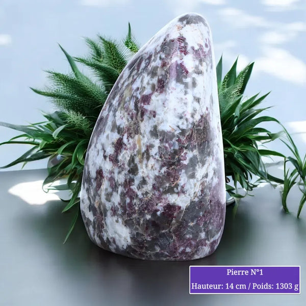 Pierre en Tourmaline Rubellite - Forme libre