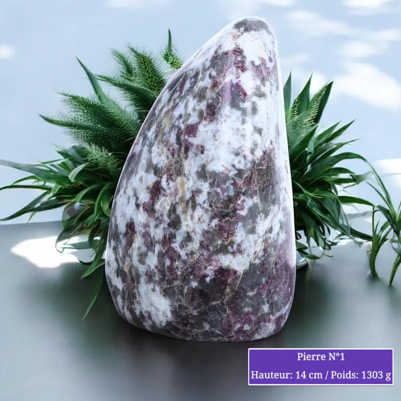 Pierre en Tourmaline Rubellite - Forme libre minéraux