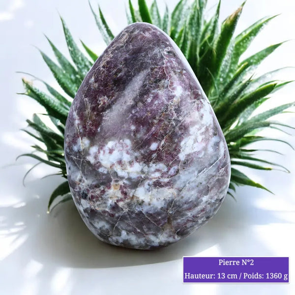 Pierre en Tourmaline Rubellite - Forme libre