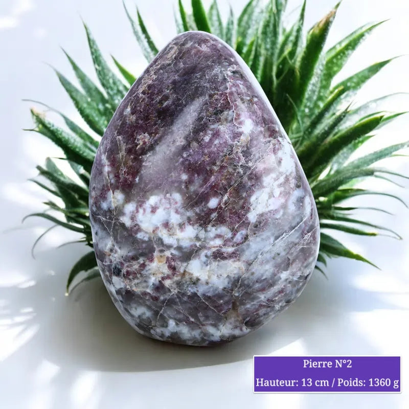 Pierre en Tourmaline Rubellite - Forme libre minéraux