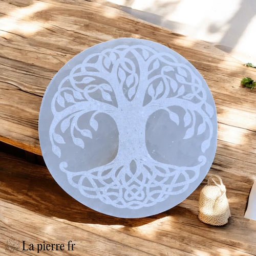 Plaque Arbre de Vie Celtique en Sélénite, Ronde de 10 cm, Gravée