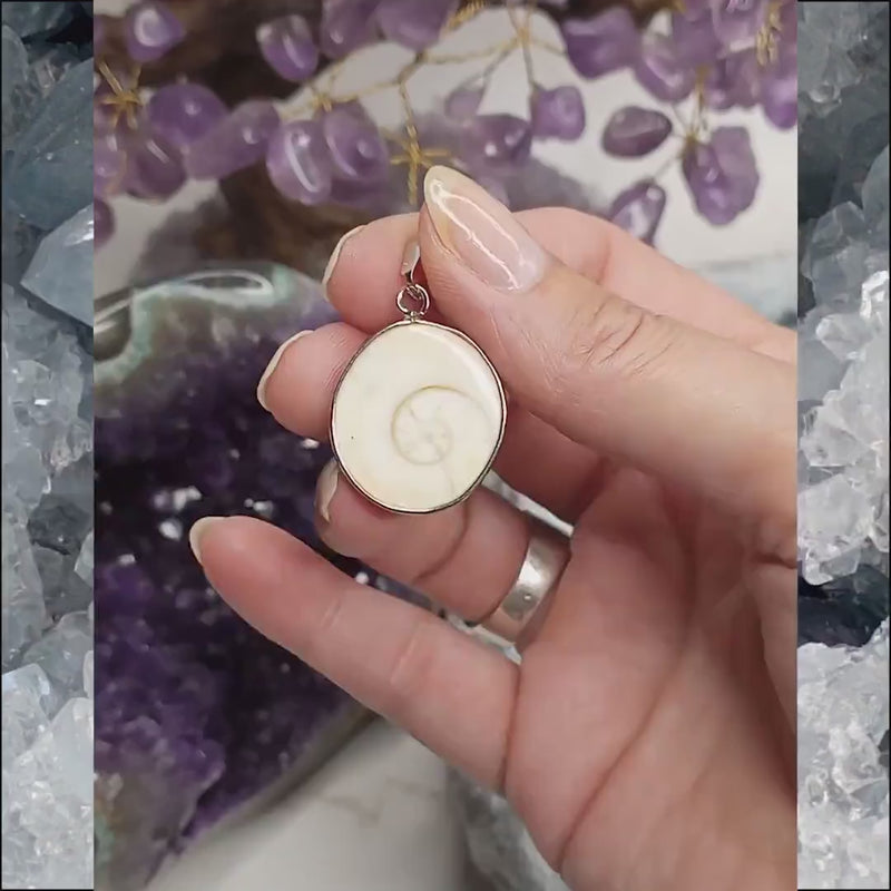 Pendentif Œil de Shiva (Ste Lucie) authentique de Madagascar. Opercule naturel, porte-bonheur, protection contre le mauvais œil.