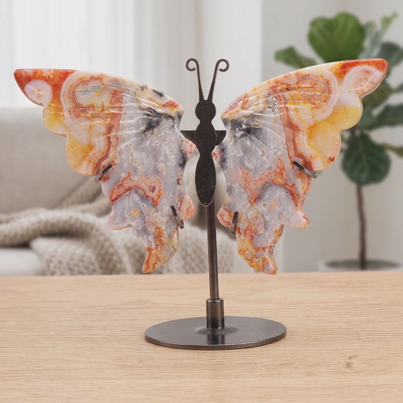 Vidéo du papillon en agate crazy lace du Mexique