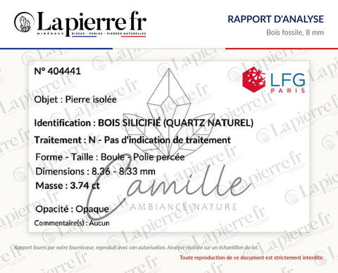 Rapport d'analyse des perles en bois fossile 8 mm, La Pierre FR