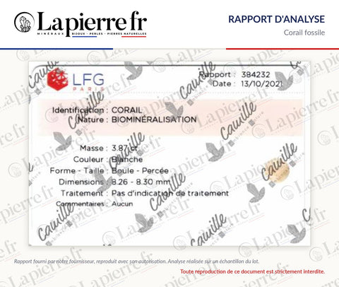 Rapport d'analyse des perles en corail fossile, La Pierre FR
