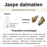 Perles Jaspe Dalmatien en pierre naturelle - Qualité AAA