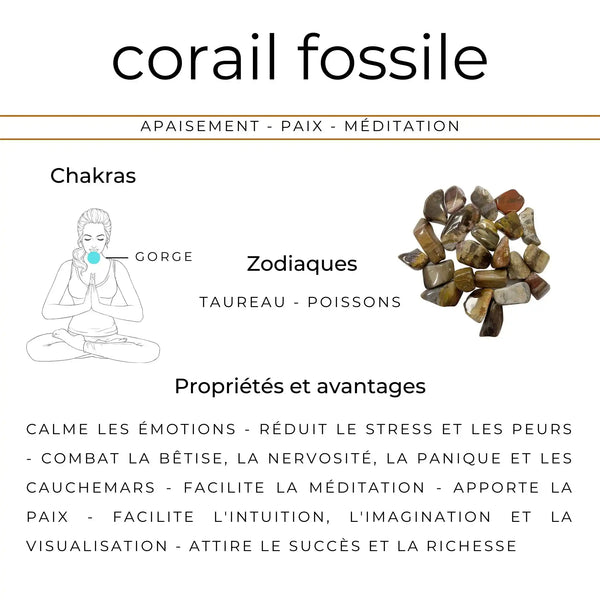 vertus corail fossile