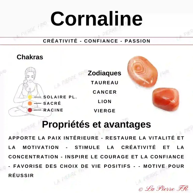 vertus Cornaline Rouge 