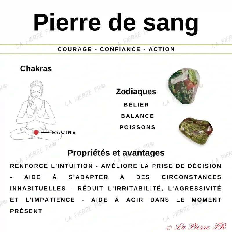 vertus de la pierre de sang (Jaspe sang de dragon)